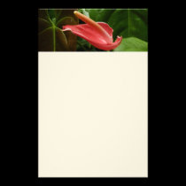 Pink Calla Lily Stationery stationery