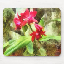 Pink Cattleya Orchids Mousemats