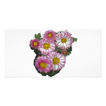 Pink Chrysanthemum Gifts Personalized Photo Card