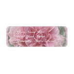 Pink Climbing Rose Blossoms Labels