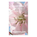 Pink Columbine Flowers Business Cards