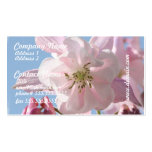 Pink Columbine Flowers Business Cards