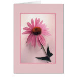 Pink Coneflower Greeting Card