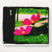 Pink Cosmos Mouse Pad