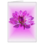 Pink Dahlia Greeting Card