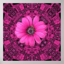 PINK DAISY PRINT