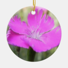 Pink Dianthus Bloom Christmas Ornament