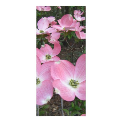 Pink Dogwood Custom Rack Card