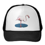 Pink Flamingo in Blue Pool of Water Trucker Hats