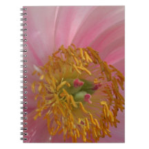 Pink Floral Journal Notebook