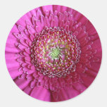 Pink Floral Sticker
