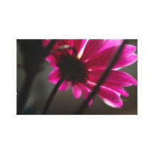 Pink Flower Gallery Wrapped Canvas