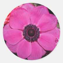 Pink Flower Round Stickers