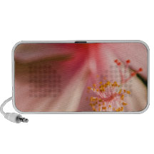 Pink Flower Stamen Macro Photography Notebook Speaker