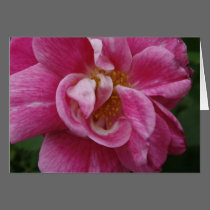 Pink Flower Stationary cards