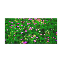 Pink Flower Stretched Canvas Print