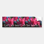 Pink Flowers; Mexico Souvenir Bumper Sticker