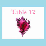 Pink Fuscia Sea Shell Reception Table Numbers postcards