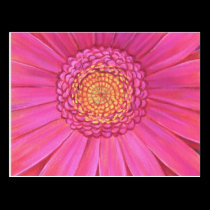Pink Gerber Flower Painting - Multi postcards