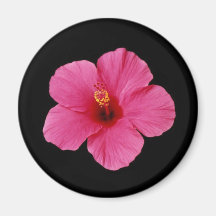 Pink Hibiscus Fridge Magnets