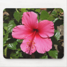 Pink Hibiscus Mousepads