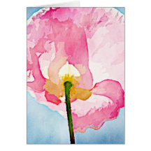 Pink Iceland Poppy Flower Greeting Card