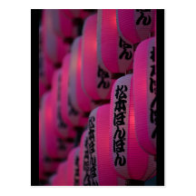 Pink Japanese Lanterns Post Card