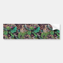 Pink lady's slipper bumper sticker