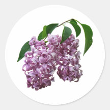 Pink Lilac Duo Round Stickers
