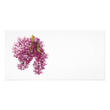 Pink Lilacs Custom Photo Card