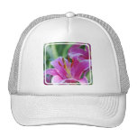 Pink Lilies  Baseball Hat