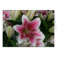 Pink lily card