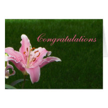 Pink Lily Congratulations Greeting Cards