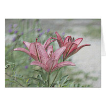 Pink Lily Greeting Card