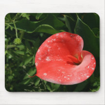 Pink lily mouse pad