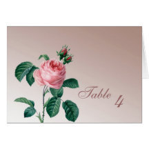 Pink Mist Rose Wedding Table Number Cards