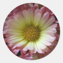 Pink Mum Round Sticker