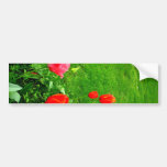 Pink One Bumper Stickers