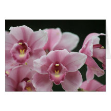 pink orchid close up notecard