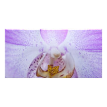 Pink Orchid Photo Card