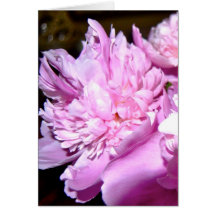 Pink Peony 3 Card
