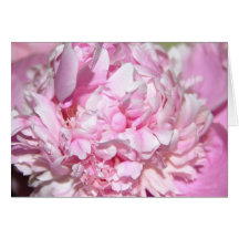 Pink Peony Card