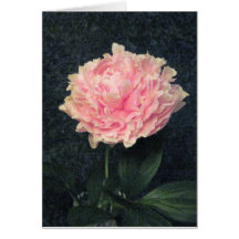 Pink Peony Cards