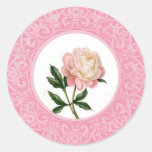 Pink Peony with fancy border sticker