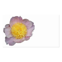 Pink Petals Business Card Template