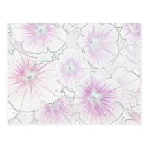 Pink Petunias in Bloom - Done in Pencil Postcard