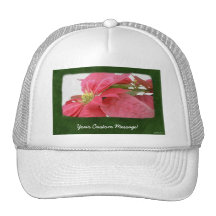 Pink Poinsettias 1 Hat