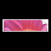 Pink Poppy Flower Painting Art - Multi bumper stickers