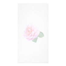 Pink Renaissance Rose Photo Card Template
