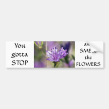 Pink Rhododendron Bumper Stickers
